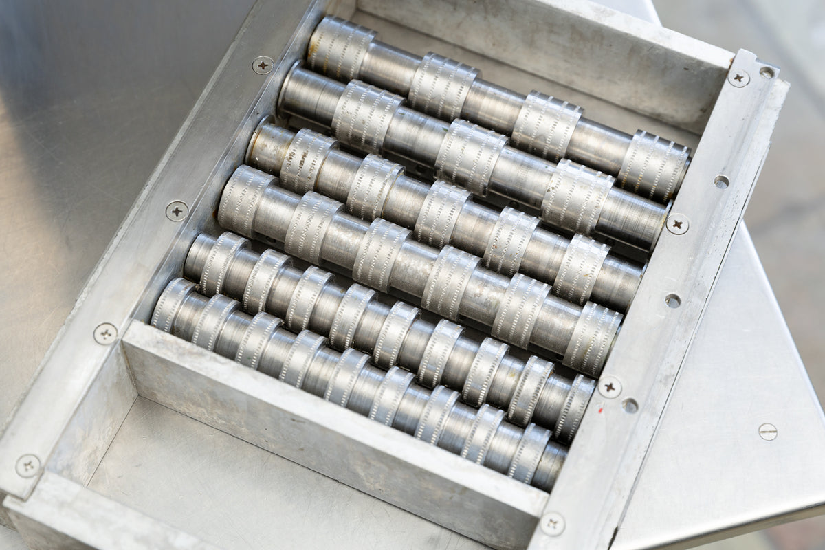 TL 170 - AUTOMATIC PASTA CUTTER