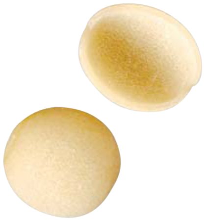 Orecchiette 22mm, die 574